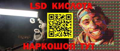 стаф Можга
