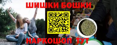 стаф Можга