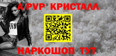 стаф Можга