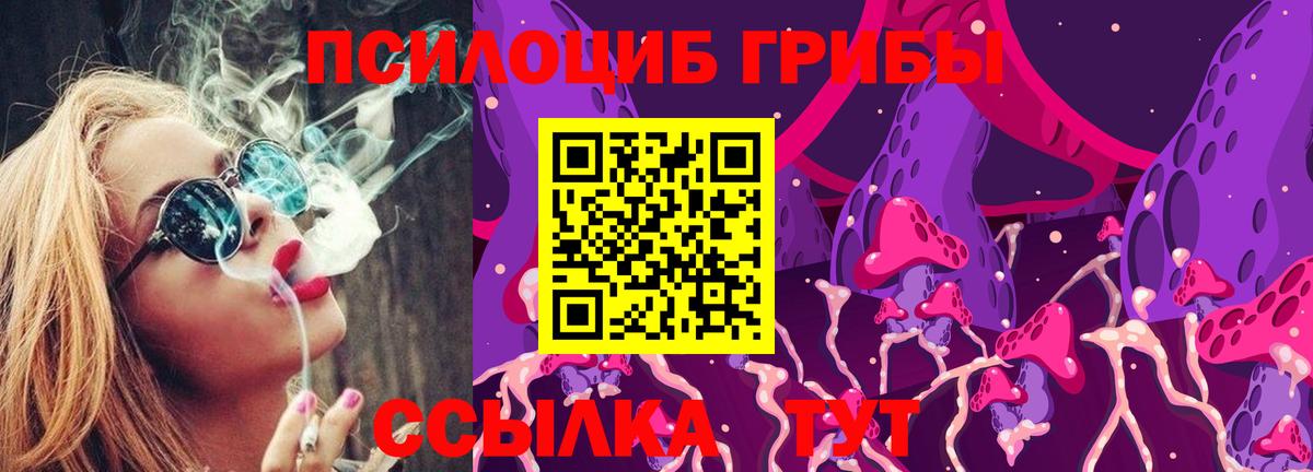 Галлюциногенные грибы Cubensis Сосновоборск